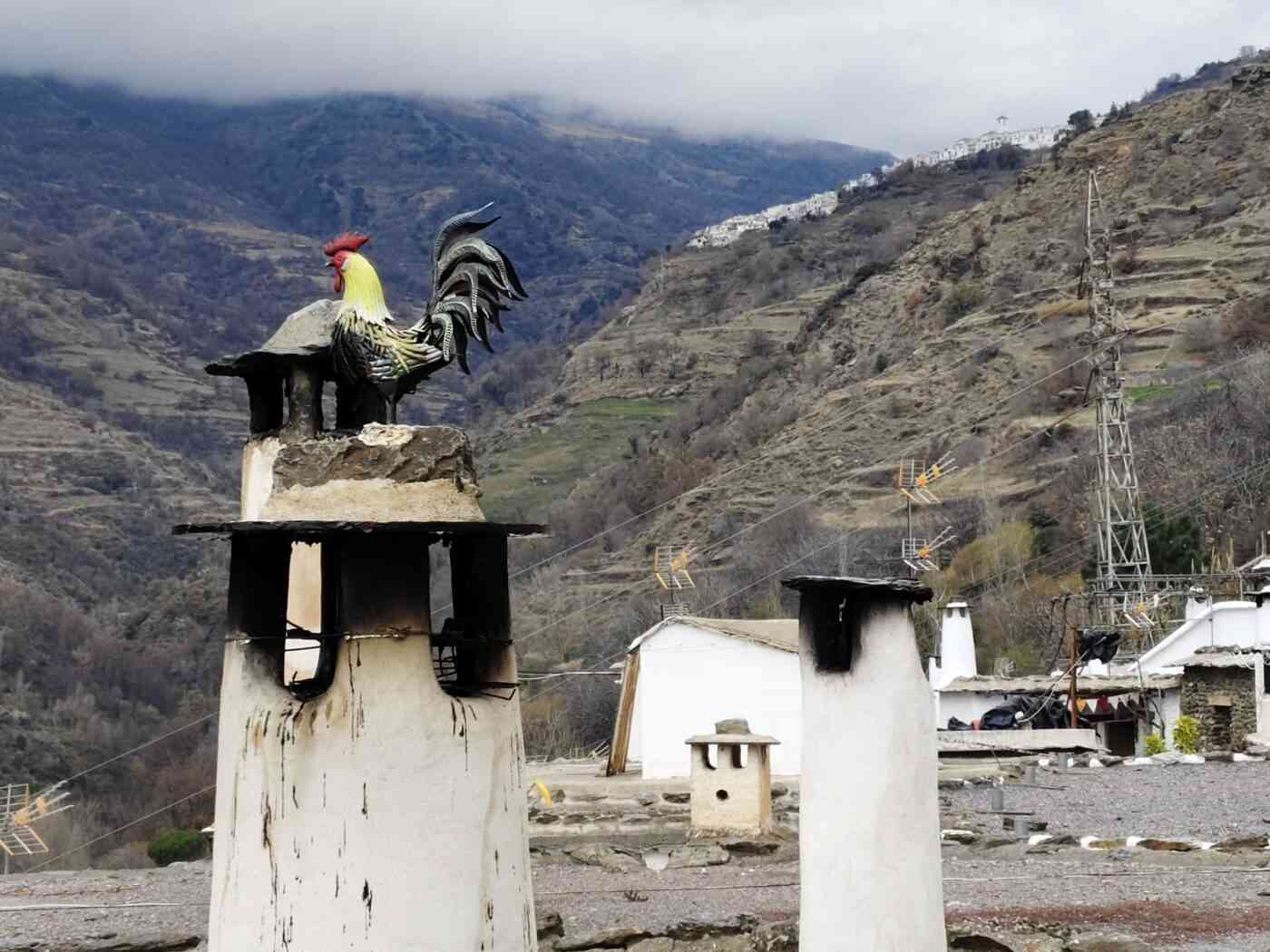 Chimeneas tradicionales: En primer plano destacan las típicas chimeneas alpujarreñas de forma cilíndrica, pintadas en blanco y coronadas con "sombreros" de laja de pizarra para protegerlas de la lluvia y la nieve. Detalle ornamental: Una de las chimeneas principales está decorada con una llamativa veleta en forma de gallo de colores vibrantes (rojo, amarillo y negro), que aporta un elemento artesanal y distintivo. Arquitectura local: Se aprecian los tejados planos o "terraos" de color grisáceo, característicos de la arquitectura bereber de la zona, junto a otras construcciones blancas integradas en la ladera. Paisaje de montaña: El fondo muestra la pronunciada pendiente de un barranco con vegetación de matorral y árboles frutales, revelando la estructura de bancales típica de la agricultura de la región. Entorno geográfico: A lo lejos, se divisan otros pueblos blancos escalonados en la montaña bajo un cielo cubierto de nubes bajas y bruma que envuelve las cumbres de Sierra Nevada.