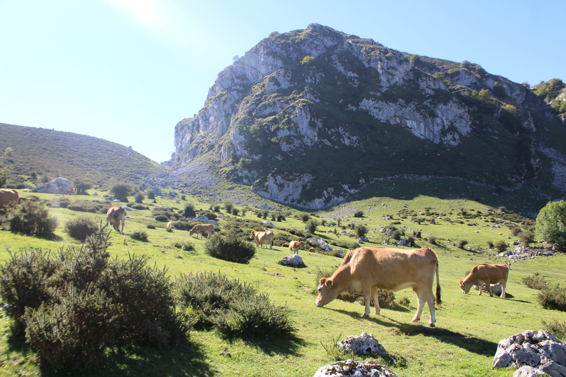 Andalucía Geographic - Semana de Multiaventura en Asturias, Picos de Europa