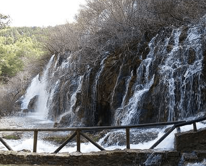 Fotografía de una amplia pared rocosa por la que caen múltiples hilos de agua formando una cascada en cortina. La parte superior está cubierta por densos arbustos sin hojas, típicos de la temporada de frío, y de fondo se observa un bosque de pinos. En el primer plano, se aprecia una barandilla rústica de madera que bordea el camino de observación.