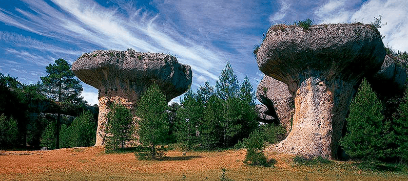 Paisaje natural de la Ciudad Encantada en Cuenca. Se muestran dos enormes formaciones rocosas calizas con forma de hongo gigante, con una base estrecha y una parte superior ancha y plana. Las rocas están rodeadas de pinos verdes bajo un cielo azul vibrante con nubes cirros alargadas. El suelo es de tierra rojiza.