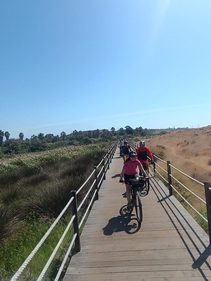 Participantes en bicicleta cruzando una pasarela de madera en medio de un paisaje natural de dunas y vegetación, bajo un cielo azul brillante.