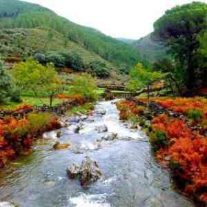 Río Hurdano atravesando un bosque de castaños y robles con los colores del otoño en Las Hurdes.