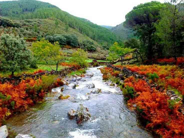 Río Hurdano atravesando un bosque de castaños y robles con los colores del otoño en Las Hurdes.