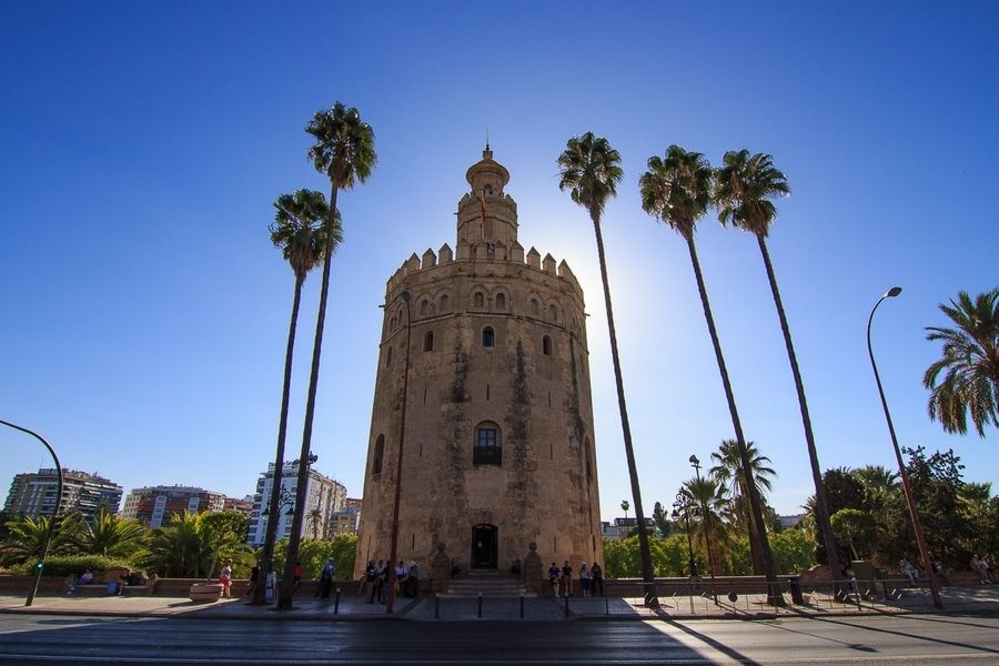 Vista majestuosa de la Torre del Oro de Sevilla, torre almohade del siglo XIII, enmarcada por grandes palmeras bajo un intenso cielo azul. Monumento emblemático de la Ruta de la Sevilla Islámica y Morisca.