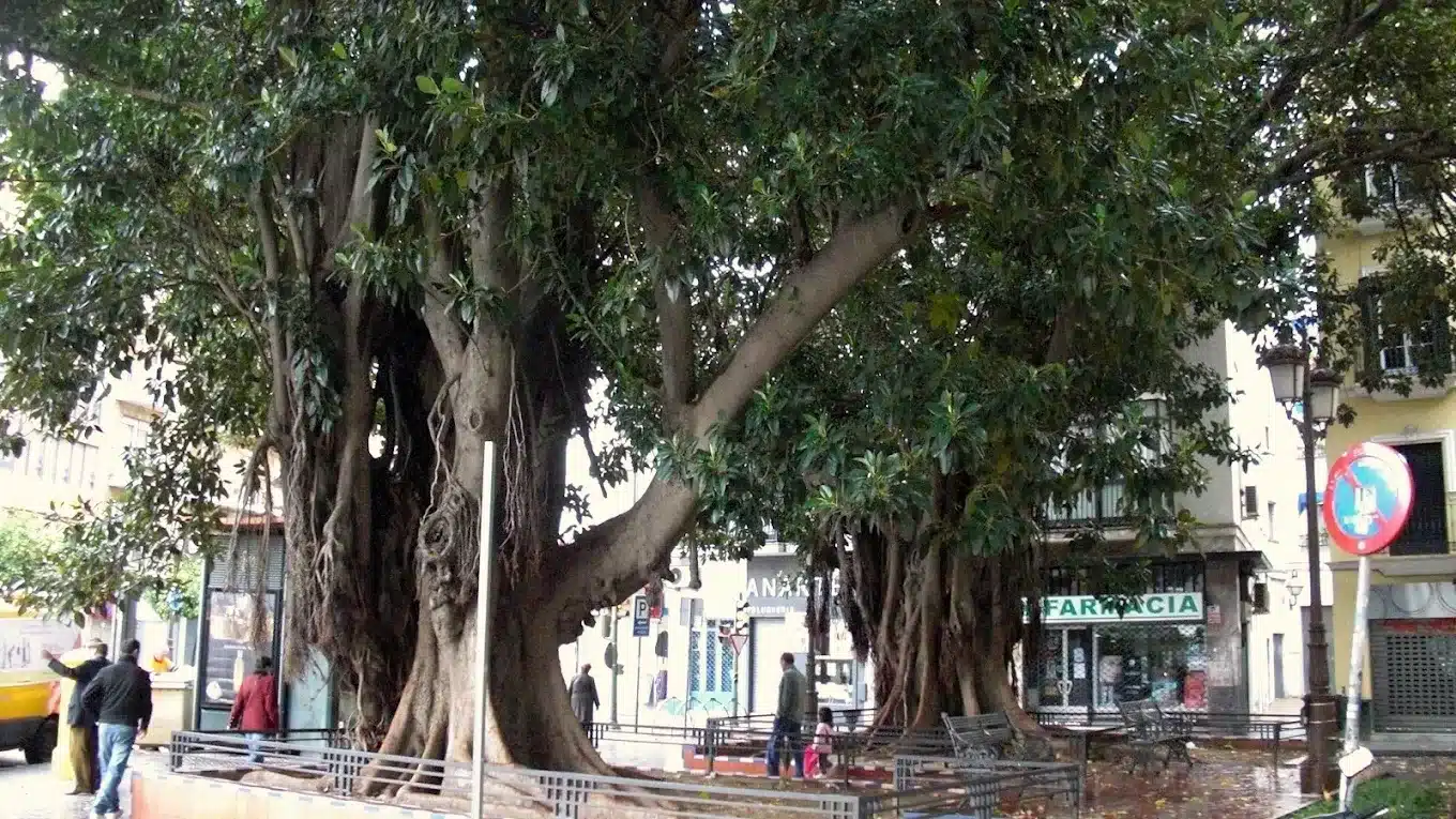 Plaza Cristo de Burgos
